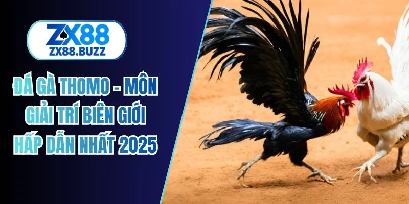 đá gà thomo