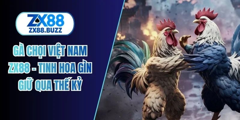 gà chọi việt nam