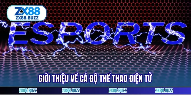 Giới thiệu về cá độ thể thao điện tử