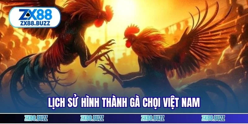Lịch sử hình thành gà chọi Việt Nam